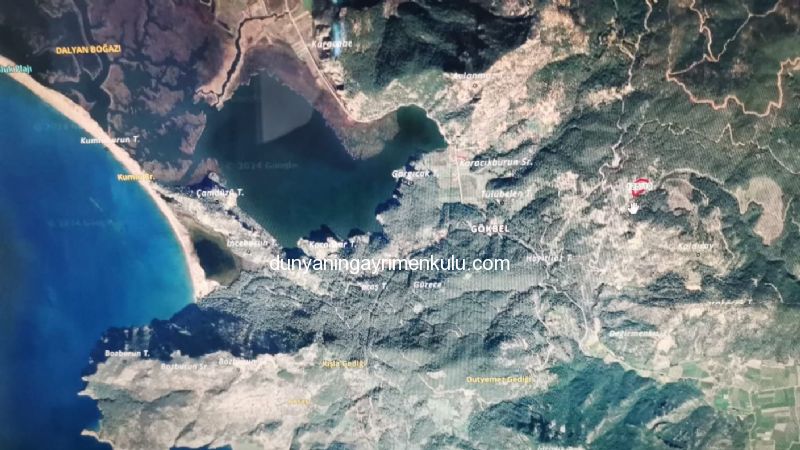 DALYAN GÖKBEL'DE 15891 M2 TARLADA 702 M2 SATILIK 