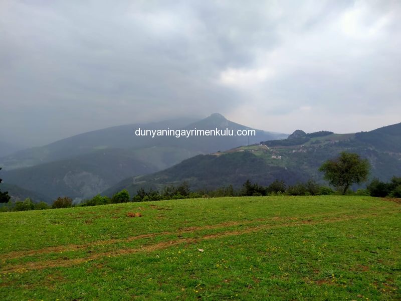 SAKARYA GEYVE'DE 10 DÖNÜM SATILIK TARLA