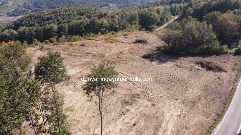 SİNOP ERFELEKDE YOL KENARINDA 30 DÖNÜM DEĞERLİ ARSA