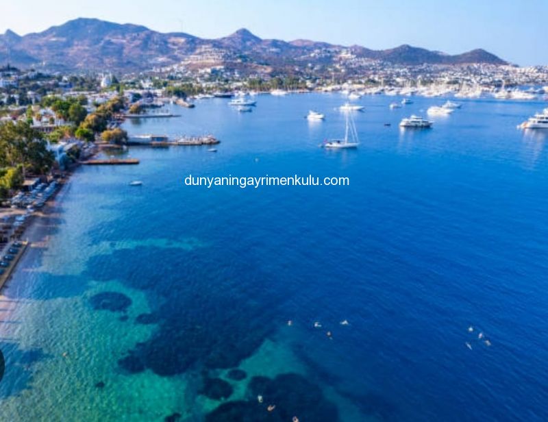 BODRUM GÜMBET'TE DENİZ MANZARALI VE HAVUZLU VİLLA