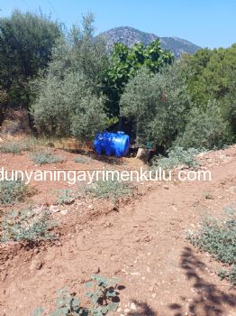 DALYAN İZTUZU PLAJ YOLUNDA EŞYALI MÜSTAKİL BAHÇELİ KİRALIK EV