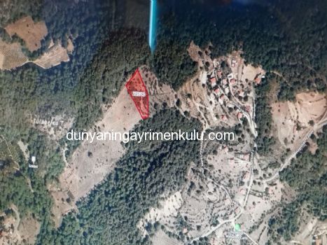 DALYAN GÖKBEL'DE 5707 METRE KARE SATILIK TARLA