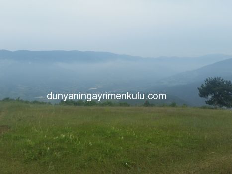 SAKARYA GEYVE'DE 10 DÖNÜM SATILIK TARLA