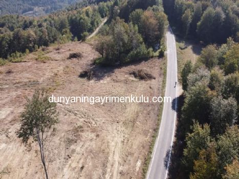 SİNOP ERFELEKDE YOL KENARINDA 30 DÖNÜM DEĞERLİ ARSA