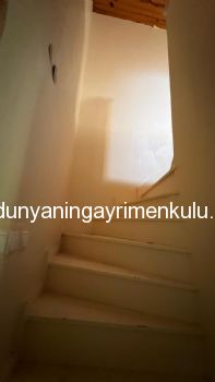 YAKACIK AYDOS'DA 7070 M2 SATILIK ÇİFTLİK