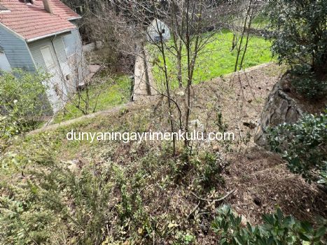 YAKACIK AYDOS'DA 7070 M2 SATILIK ÇİFTLİK
