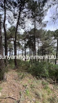 YAKACIK AYDOS'DA 7070 M2 SATILIK ÇİFTLİK
