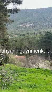 YAKACIK AYDOS'DA 7070 M2 SATILIK ÇİFTLİK