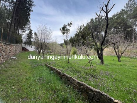 YAKACIK AYDOS'DA 7070 M2 SATILIK ÇİFTLİK