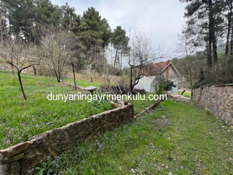 YAKACIK AYDOS'DA 7070 M2 SATILIK ÇİFTLİK