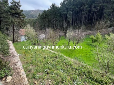 YAKACIK AYDOS'DA 7070 M2 SATILIK ÇİFTLİK