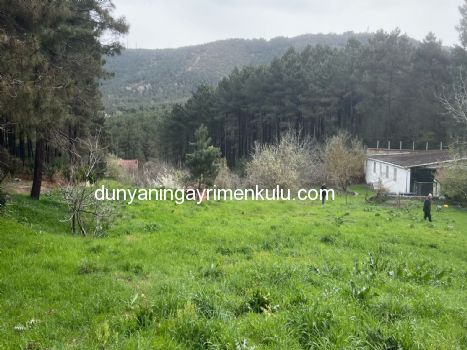 YAKACIK AYDOS'DA 7070 M2 SATILIK ÇİFTLİK