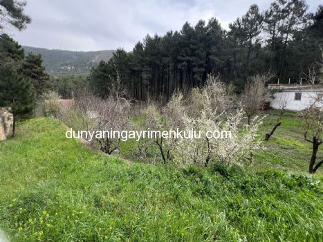 YAKACIK AYDOS'DA 7070 M2 SATILIK ÇİFTLİK
