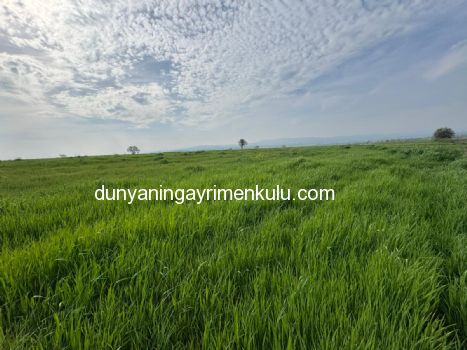 ÇANAKKALE BİGA DOĞANCI KÖYÜNDE 7071M2 SATILIK  TARLA