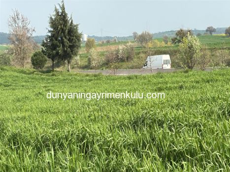 ÇANAKKALE BİGA DOĞANCI KÖYÜNDE 7071M2 SATILIK  TARLA