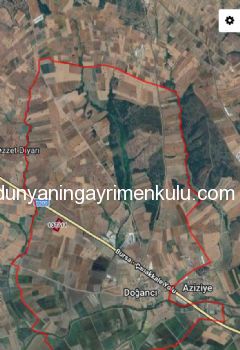 ÇANAKKALE BİGA DOĞANCI KÖYÜNDE 7071M2 SATILIK  TARLA