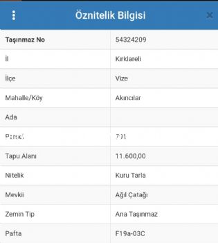 KIRKLARELİ VİZE'DE SATILIK 11.600m2 ARSA